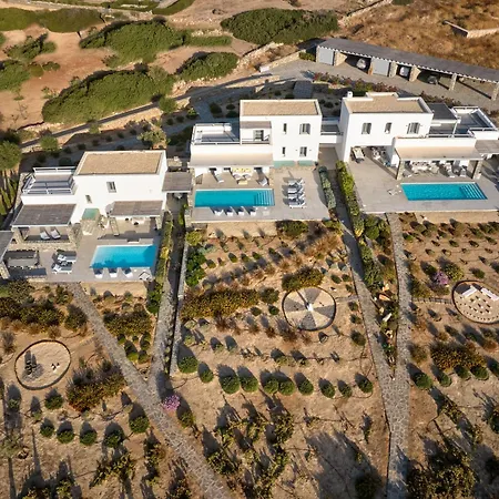 Villa Olea & Ramus Paros