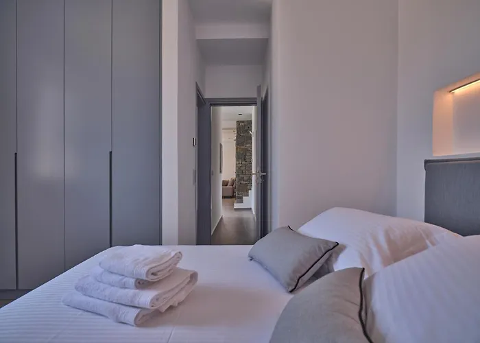 Olea & Ramus Paros Βίλα Isterni (Paros)