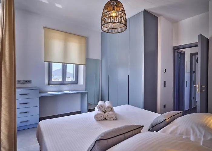 Olea & Ramus Paros Βίλα