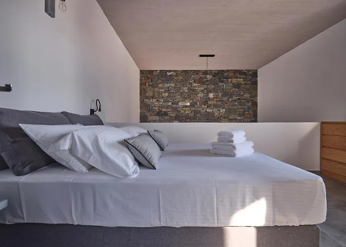 Olea & Ramus Paros Βίλα Isterni (Paros)