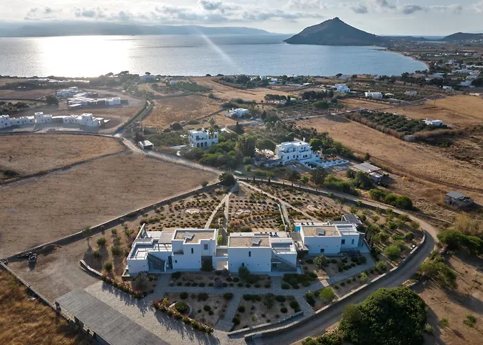 Olea & Ramus Paros *